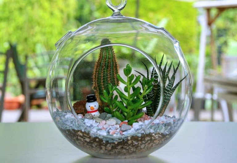 A festive terrarium with succulents, cacti, and a miniature snowman inside a glass container